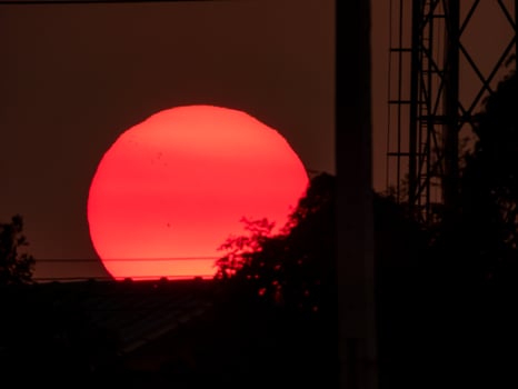 sunset over the rice field photo