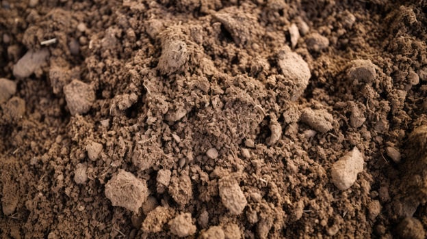 loose soil texture photo
