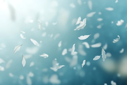 White feather falling on a blue background photo