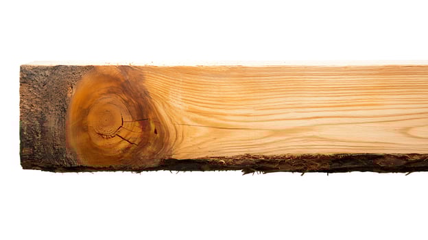 Close-up view of a raw wooden plank showcasing natural grain patterns and knots against a white background photo