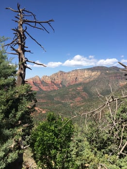 View with Tree, Schnebly Hill Trail Near Sedona, Arizona, Offroad Adventure photo