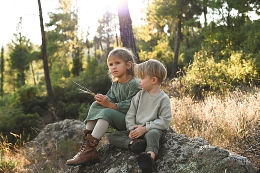 The children sit on a weathered stone, lost in the magic of the forest as countless bubbles glisten and rise into the treetops. photo
