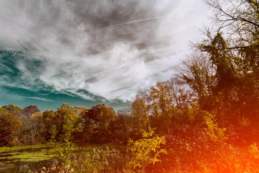 Trees and the sky in sunny autumn Beautiful landscape cloudy weather photo