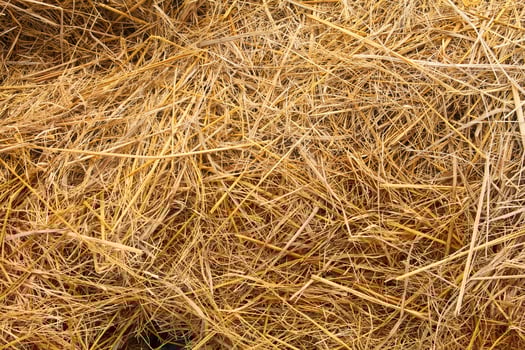A pile of straw is shown in this photo