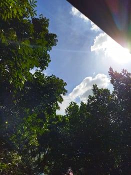 Sun ray bokeh seen through trees.Beautiful sunny day photo