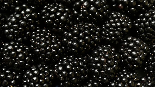 Close-up of fresh blackberries with a glossy texture. photo