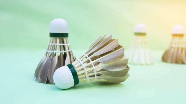 Dark colored shuttlecocks placed on green background, an active sport. photo