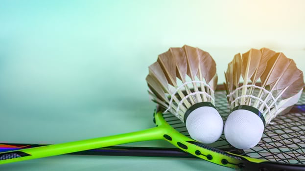 Dark colored shuttlecock and badminton racket placed on green background, an active sport. photo