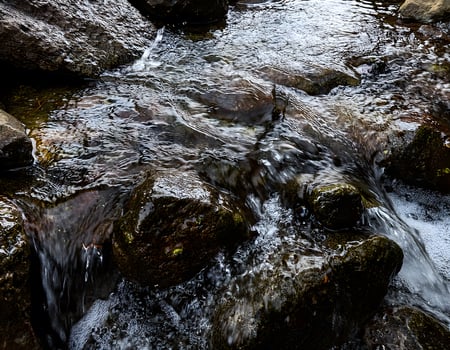 Serene Flow of Clear Water Through Smooth Black Stones photo