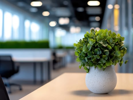 Modern Office Interior with Green Plant on Desk, Bright Workspace with Natural Light and Contemporary Design photo