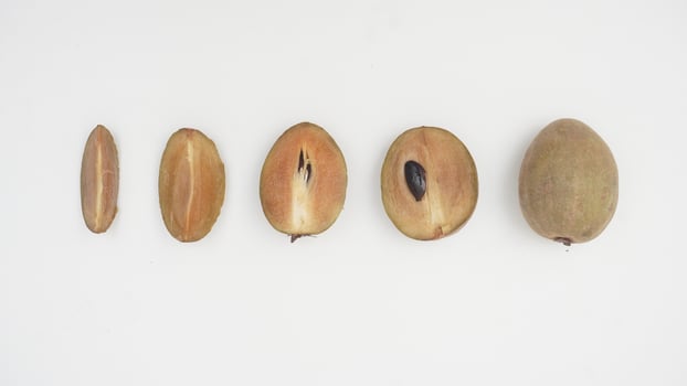 Set of Sapodilla Fruit on White Background photo