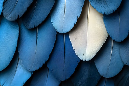 Abstract Pattern of Blue Feathers - Nature-Inspired Design for Print, Card, Poster photo