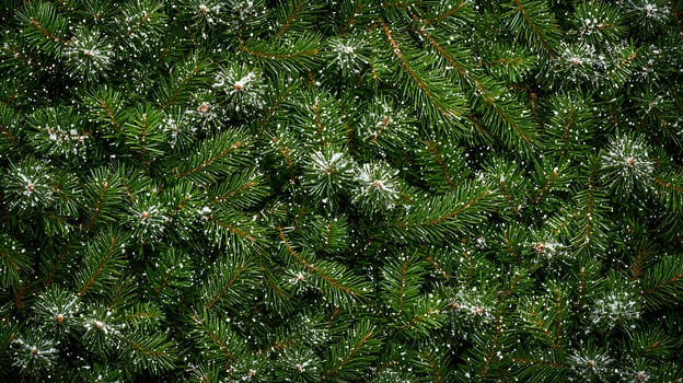 Lush green pine branches adorned with delicate snowflakes, creating a serene winter backdrop photo