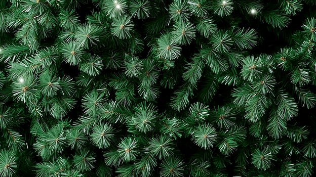 Lush green pine branches adorned with soft white lights create a festive atmosphere in winter photo