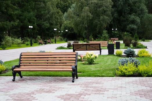 Wooden vintage bench On a sunny dayin a public Park. photo