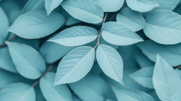 Gentle breeze over blue-toned leaves nature scene close-up photography tranquil environment aerial view botanical concept photo
