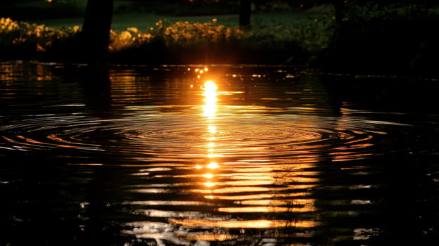 Sunset on a pond with water ripples photo