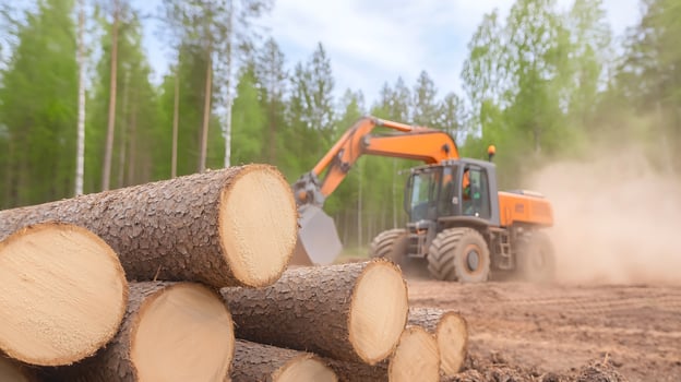 Heavy machinery harvesting logs in a forest with dust and trees in the background photo