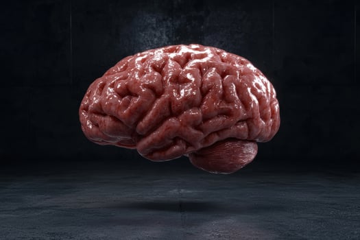 Realistic brain model on a dark background photo
