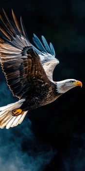 Majestic eagle soaring through the sky with wings outstretched photo