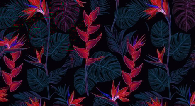 Bird of paradise flowers on black background photo