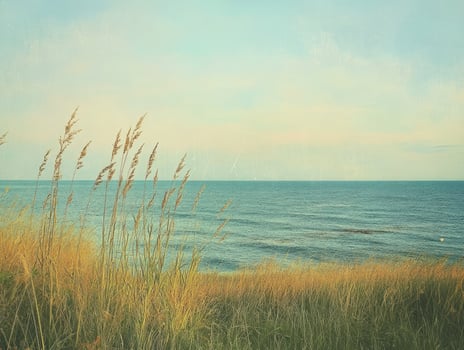 Serene shoreline with golden grass swaying gently in the soft ocean breeze at sunset photo