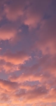 Beautiful Pink Cloudy Sky Evening Display Perfect for Phone Wallpaper photo