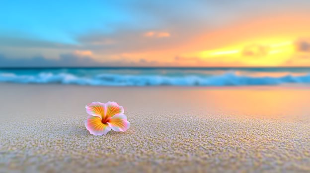 A serene sunset at the beach with a single flower in the foreground and gentle waves photo