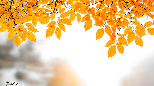 Vibrant autumn leaves in warm hues framing a soft, blurred background of a serene landscape photo