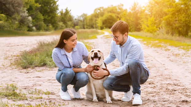 Summertime Walk. Smiling modern family sitting and petting their adorable puppy, sun flare, copy space photo