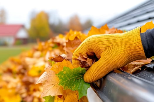Hand Removing Autumn Leaves from Rain Gutter photo