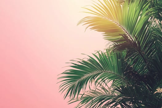 Composition of natural tropical palm branches on muted pink background. Horizontal tropical poster, banner template with space for text. Generated by artificial intelligence photo