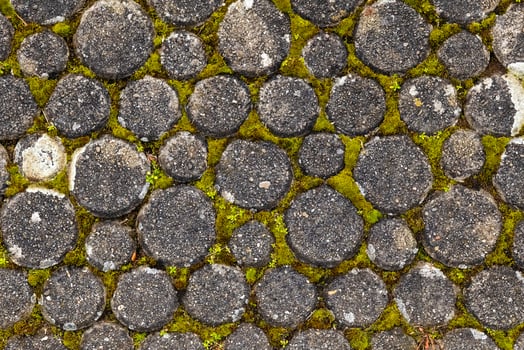 Natural moss-covered stone pathway circles in a serene outdoor setting photo