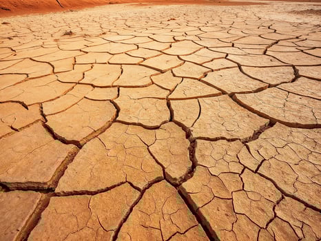 Dry cracked earth showcases severe drought conditions in arid landscape during daytime photo