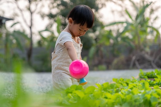 organic vegetable farm. Children watering organic vegetables . Non toxic vegetable grow naturally. greenhouse garden, Ecological Biological, Healthy, Vegetarian, ecology photo