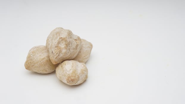 Candlenut or Kemiri on White Background photo