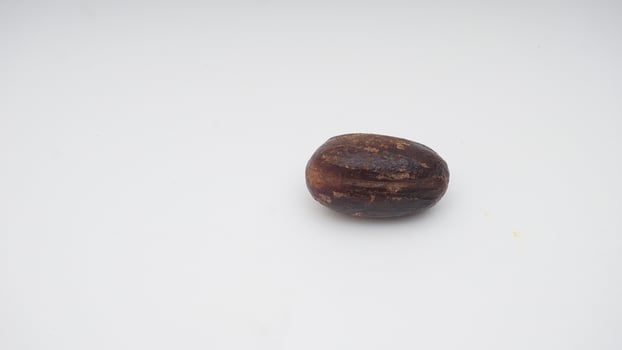 Single Nutmeg Spice on White Background photo
