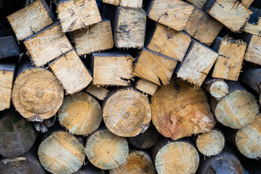 View of a cut of trees lying on top of each other and prepared like firewood photo