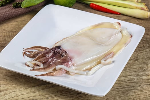 A white plate with a squid on it photo