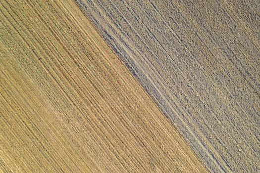 drone aerial zenithal view of a mowed wheat field at harvest, background for agriculture concept photo