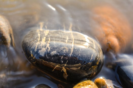 Close-up of a turtle and tortoise resting by a pond surrounded by rocks and water with green nature in the background photo