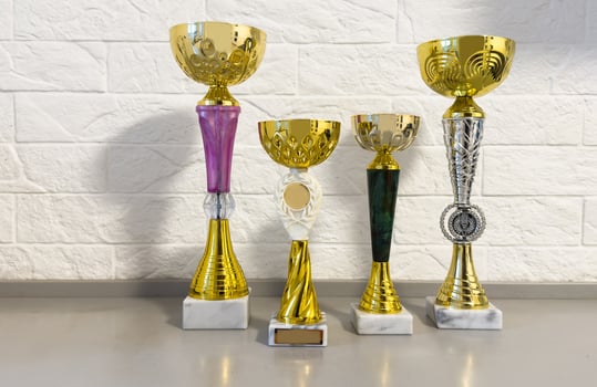 Cup trophy and medals for the competition photo