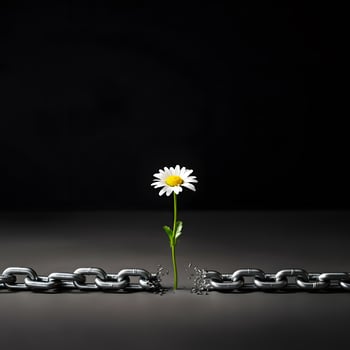 Flower petal breaking metal chain symbolizing freedom vulnerability strength on a soft blue background minimal style photo