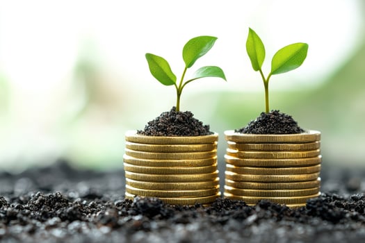 A tiny tree sprouting on top of coin stacks represents saves, investment, and financial expansion against a conceptually vibrant backdrop.. photo