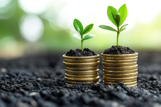 tiny tree sprouting on top of coin stacks represents saves, investment, and financial expansion against a conceptually vibrant backdrop. photo