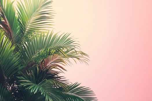 Pink background with tropical palm leaves in muted tones. Flat lay top view. Banner. Tinted pink and green trendy colors photo