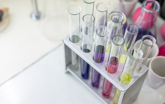 A rack with several test tubes and cups photo