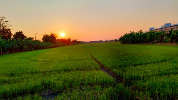 A field with a sunset in the background photo