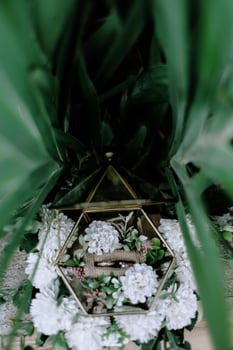 Elegant wedding rings in a geometric glass box with white flower accents photo