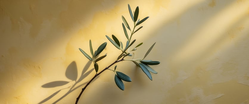 A plant with leaves on a wall photo
